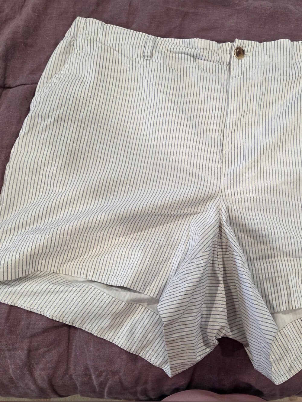 Chino Pinstripe Shorts